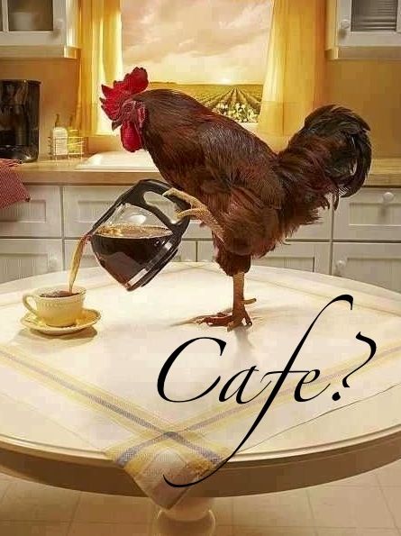 Café el gallo, orgullosamente Sonorense.